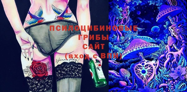 ECSTASY Горняк